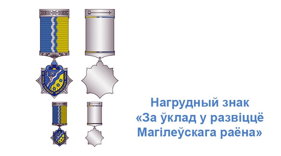 na-sessii-mogilevskogo-rajonnogo2