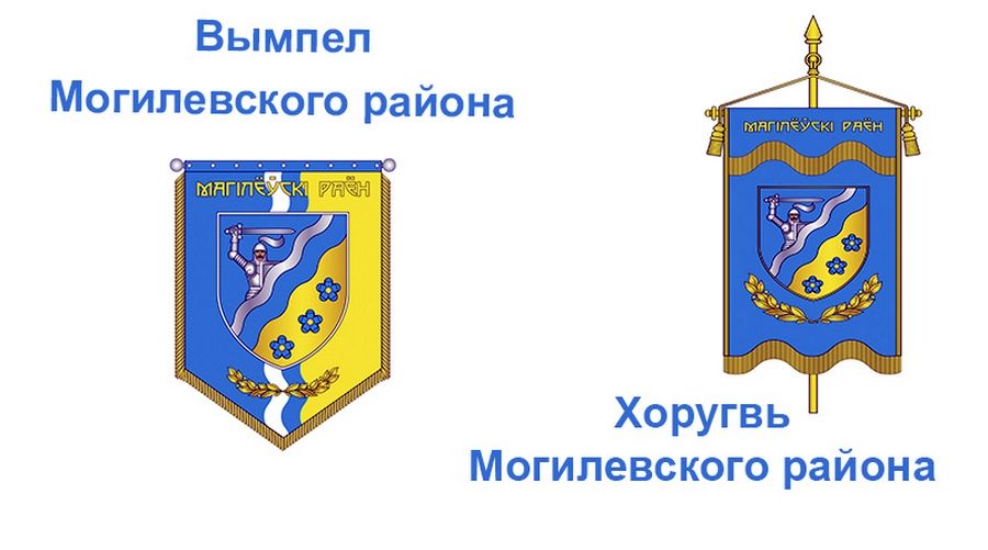 na-sessii-mogilevskogo-rajonnogo3