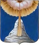 o-gerbax-gorodov-i-namestnichestv-v-gerbovnike-talyzina4-3