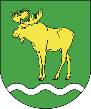 sozdanie-novogo-gorodskogo-gerba-etapy-raboty01