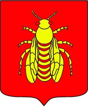 sozdanie-novogo-gorodskogo-gerba-etapy-raboty04