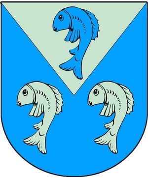 sozdanie-novogo-gorodskogo-gerba-etapy-raboty05