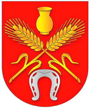 sozdanie-novogo-gorodskogo-gerba-etapy-raboty07