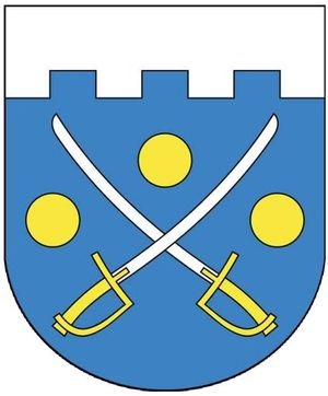 sozdanie-novogo-gorodskogo-gerba-etapy-raboty11