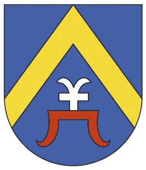 sozdanie-novogo-gorodskogo-gerba-etapy-raboty14