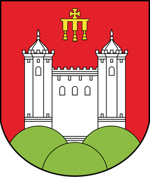 sozdanie-novogo-gorodskogo-gerba-etapy-raboty16