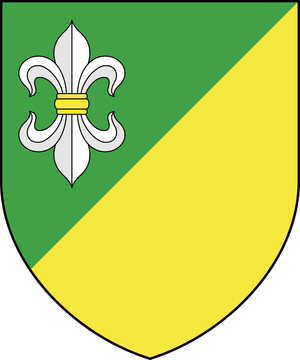 sozdanie-novogo-gorodskogo-gerba-etapy-raboty17