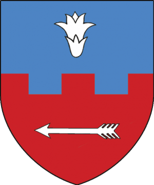 3-noyabrya-v-1998-godu-byl-zaregistrirovan-gerb-mikashevich1