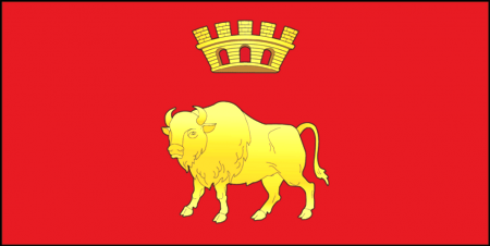 Официальный флаг Гродненской области