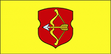 pinsk-flag78
