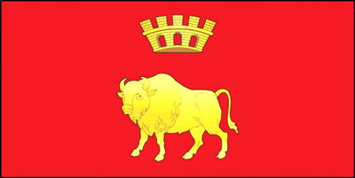 grodno-region-flag