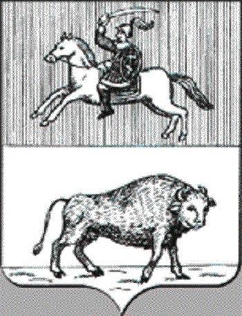 kak-zebry-v-grodno-prosochilis02