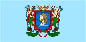 vitebsk-flag300