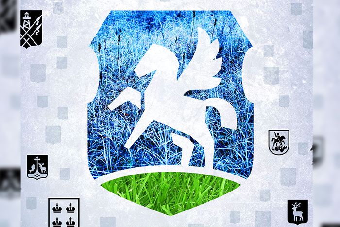 kak-mozhet-vyglyadet-gerb-slucka-1