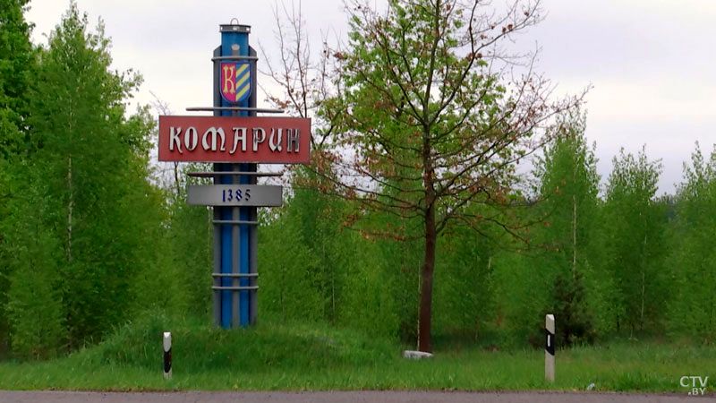 komarin-stela1