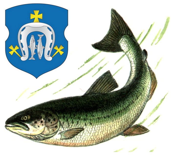 neozhidannye-simvoly-xishhniki-i-mirnye-10