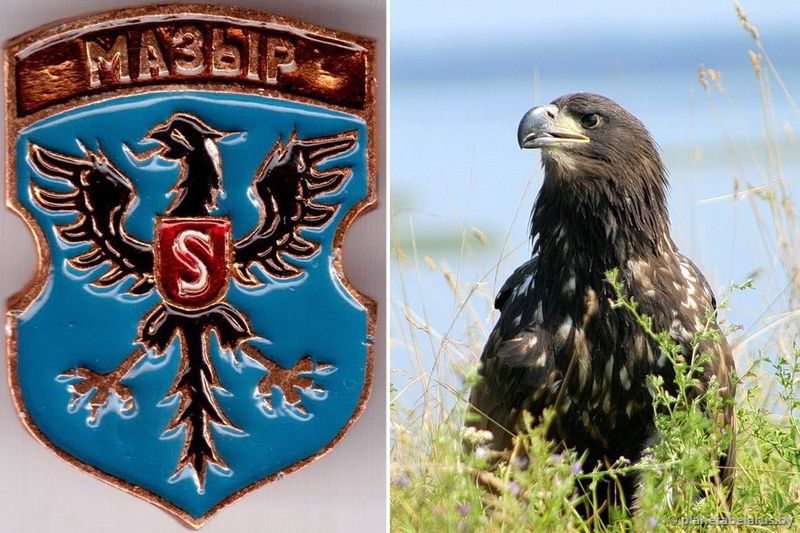 neozhidannye-simvoly-xishhniki-i-mirnye-2