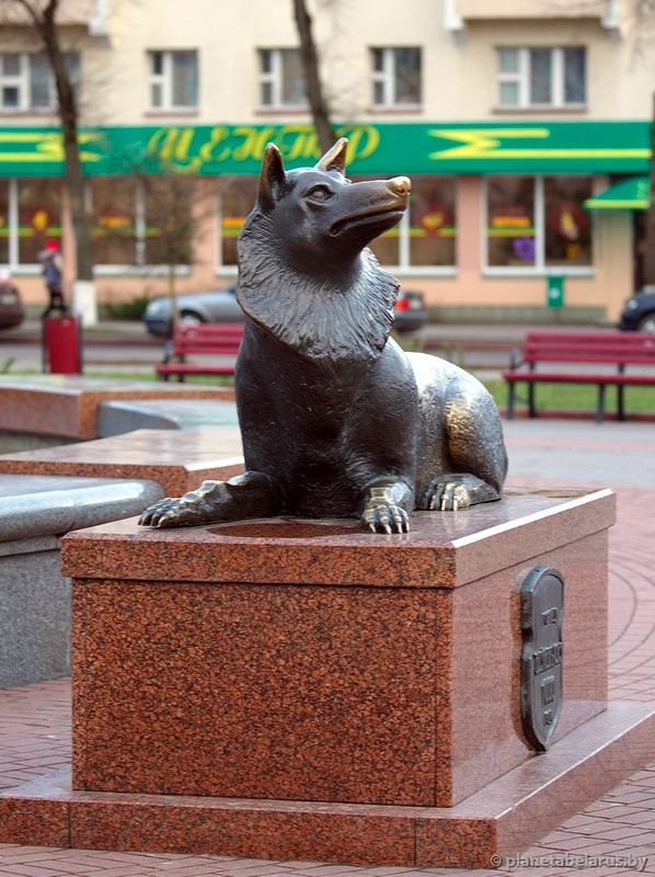 neozhidannye-simvoly-xishhniki-i-mirnye-5