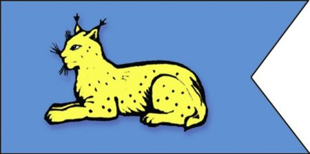 novobelitski-rayon-flag300