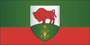 baranovichi-rayon-flag300