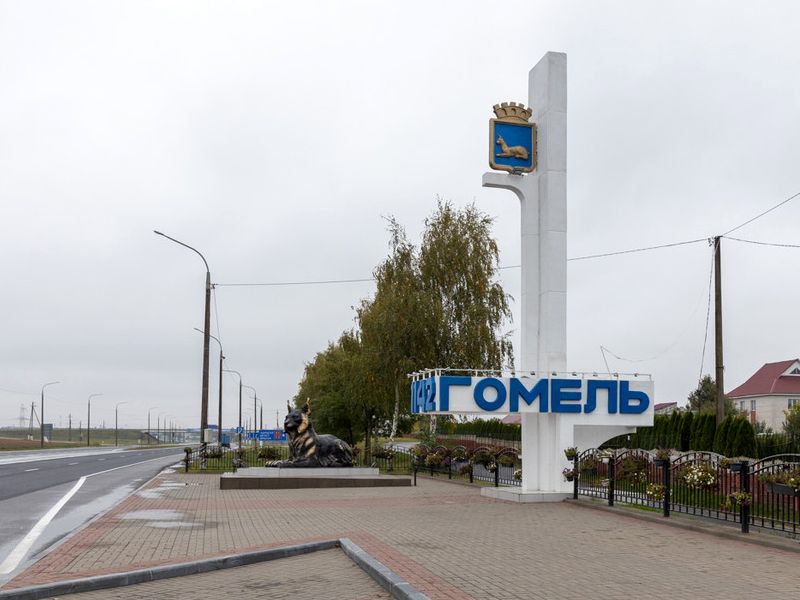 gomel-stela5