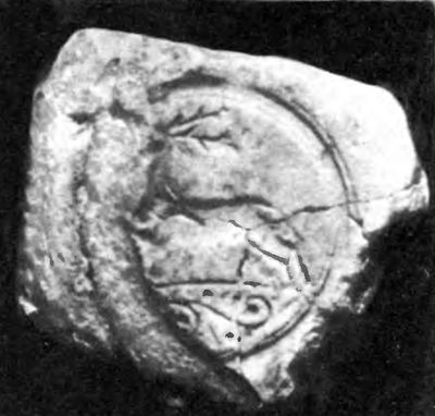 drevnyaya-pechat-iz-polocka3