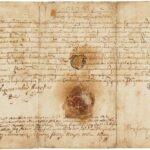 disna-priviley-1567
