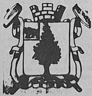 eshhyo-raz-o-gorodskom-gerbe5